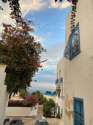 CARTHAGE, TUNISIA: Now Photo