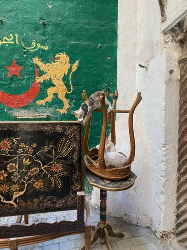 The Casbah of Algiers Photo