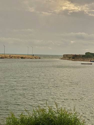 The Ancient City of Carthage: THEN Photo