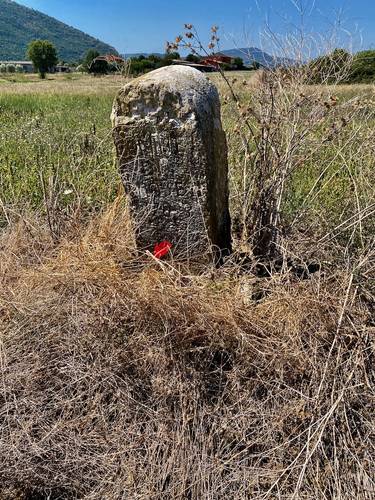 The centuries-old stone field marker where we placed Jack Hoyer's commenorative rock.