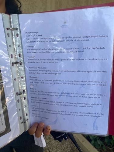 This is the diary transcript found with just 9 entries.