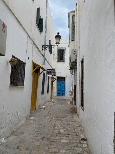 TUNISIA, NORTH AFRICA and its capital of TUNIS: An Overview Photo