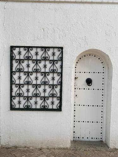 TUNISIA, NORTH AFRICA and its capital of TUNIS: An Overview Photo