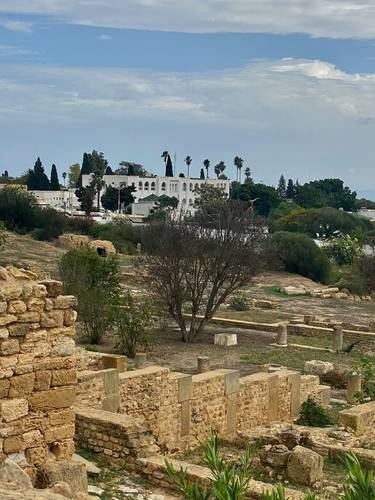 Carthage is the exclusive diplomatic hub of Tunisia and the location of the Presidential Palace that stands guard over ancient ruins. 