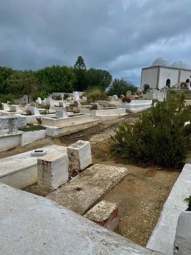 The Ancient City of Carthage: THEN Photo