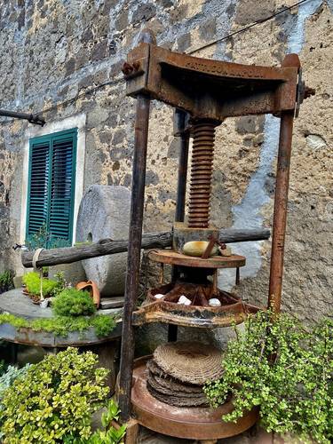 A vintage olive oil press.