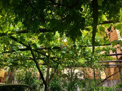 Sorrento 1: Hotel Minerva and the 