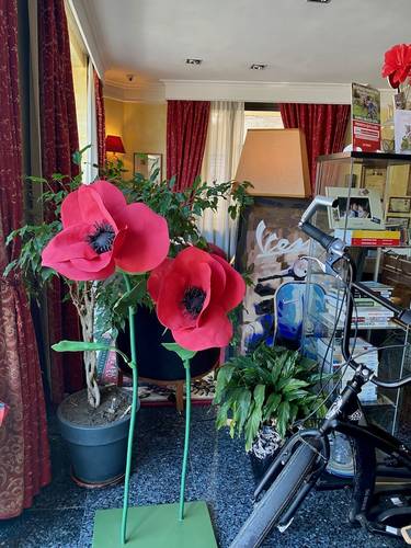 Since WWI, the blood red poppy flower has come to symbolize the sacrifices of war veterans, the human costs of war, and of remembrance. 