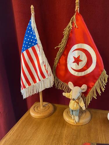 My travel companion, Marcel with the Tunisian flag.